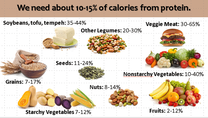 Visual guide to plant-based protein sources including beans, nuts, seeds, and vegetables.