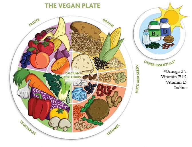 Vegan plate with food groups and essential nutrients.